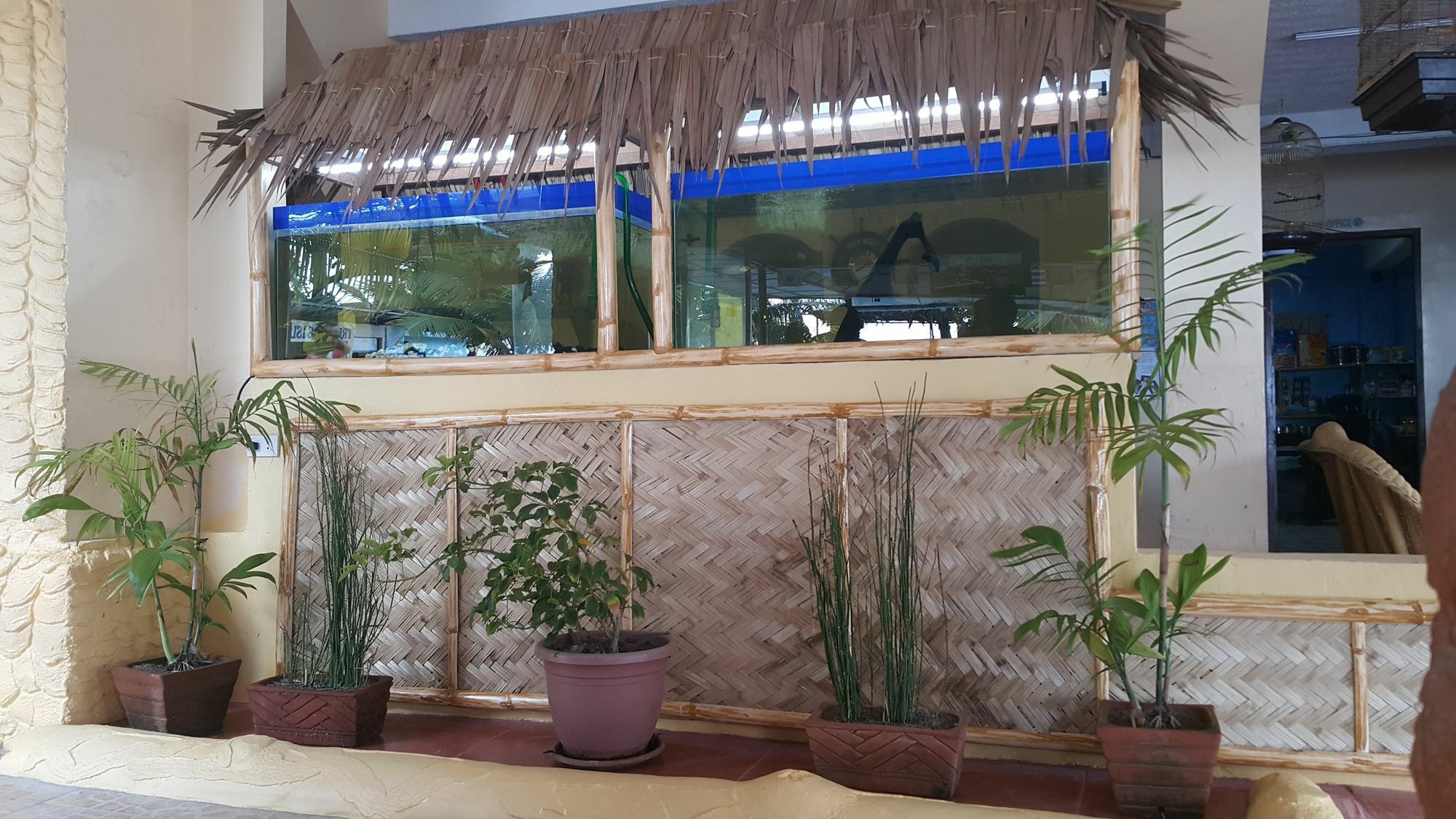 เทรเชอร์ ไอส์แลนด์ รีสอร์ต Hotel โอลองกาโป ภายนอก รูปภาพ
